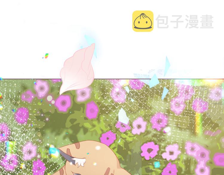 番外 无夜城的一只猫62