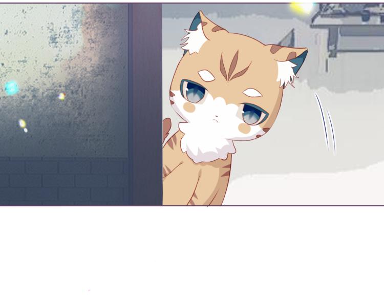 番外 无夜城的一只猫7
