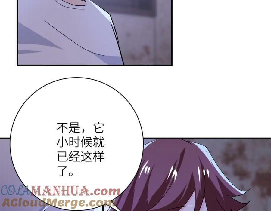 第407话 奇迹48