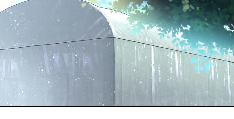 第135话 骗中骗12