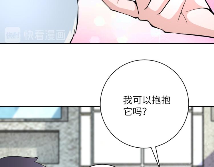 第136话 登场！43