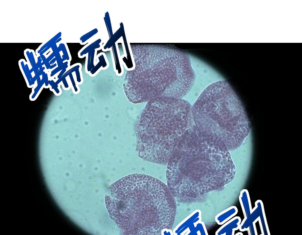 第248话 希望23