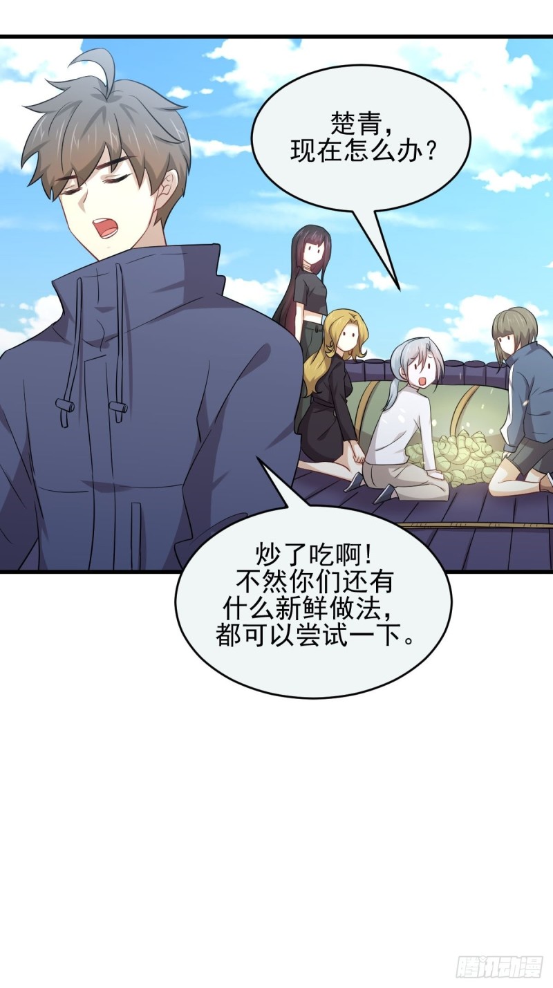 第195话 炒食灵物18