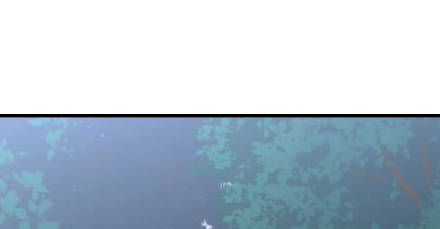第248话 白家上门1
