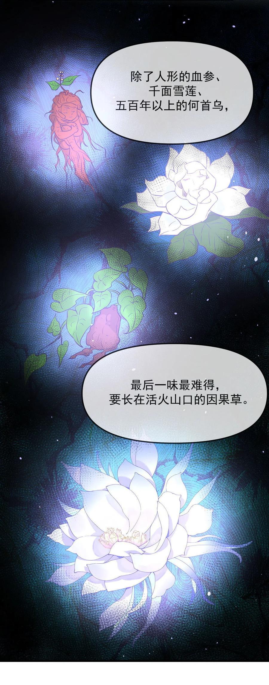 第265话 萧、叶合作26