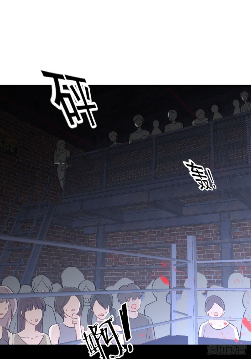 第240话 拳场成名1
