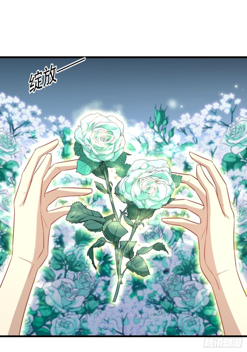 第235话 白玫瑰13