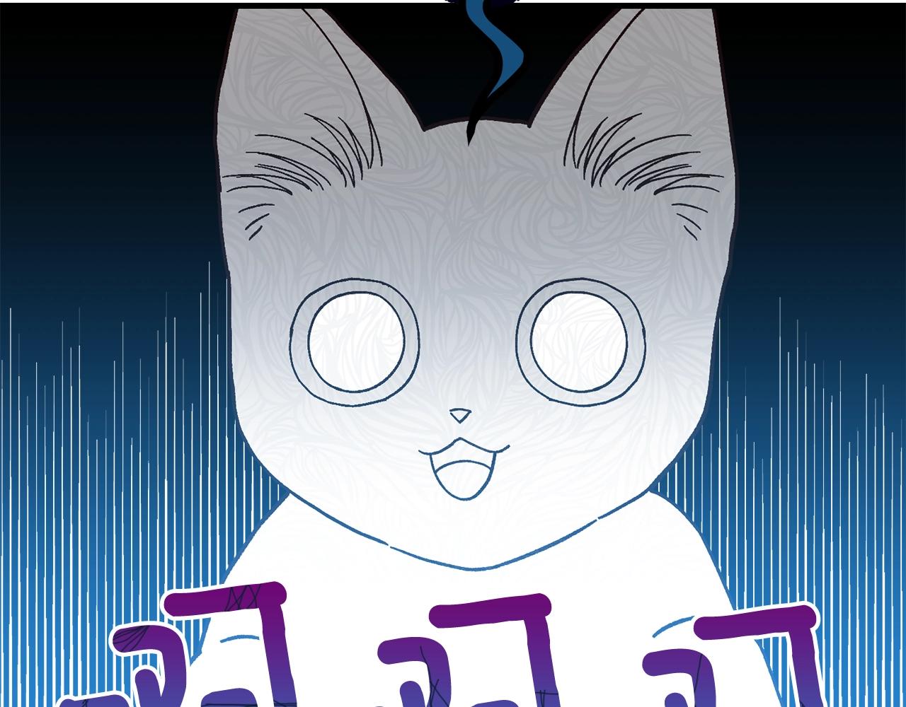 第一季完结篇 猫猫惊恐10