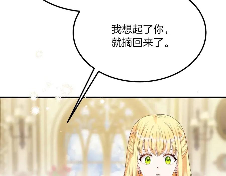 第33话 玫瑰119