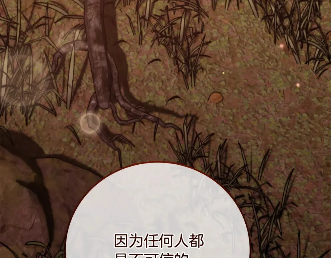 第12话 安诗雅，对不起246
