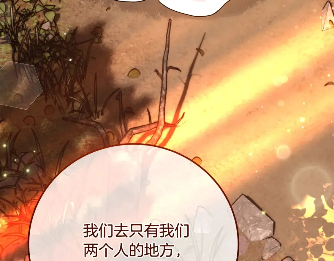 第12话 安诗雅，对不起244