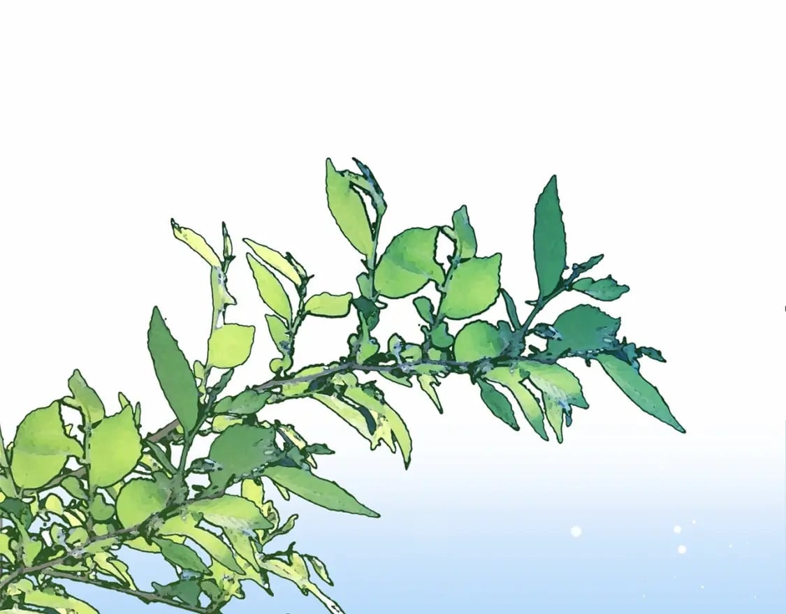 第38话 离开他64