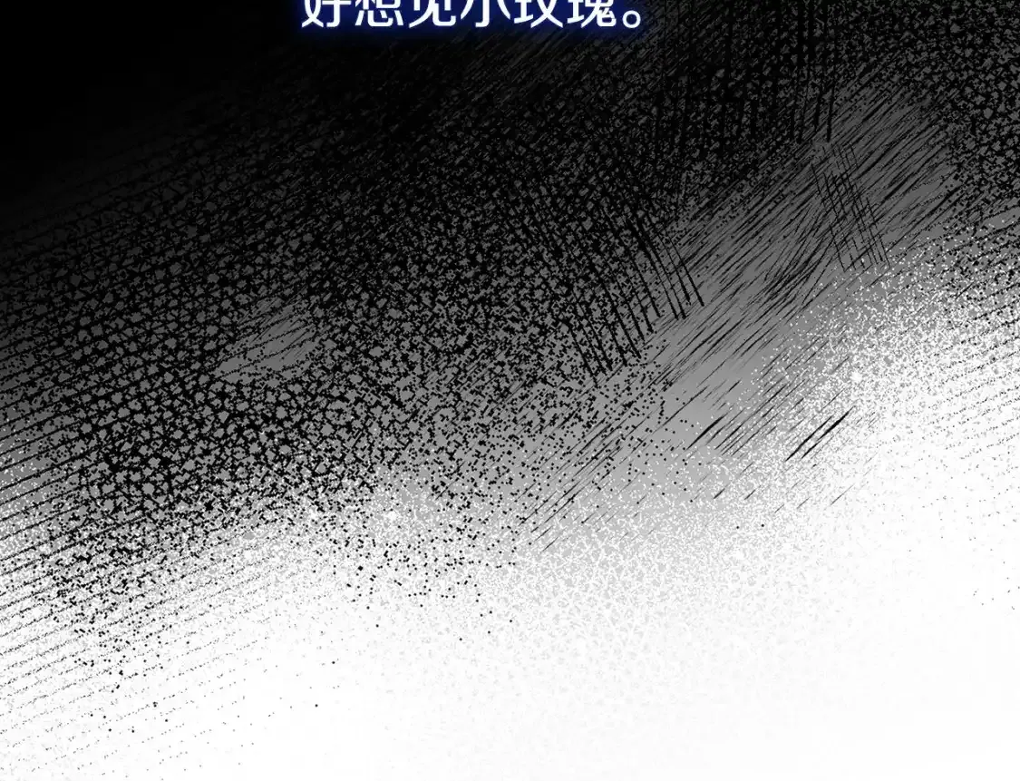 第9话 小玫瑰的厨艺36