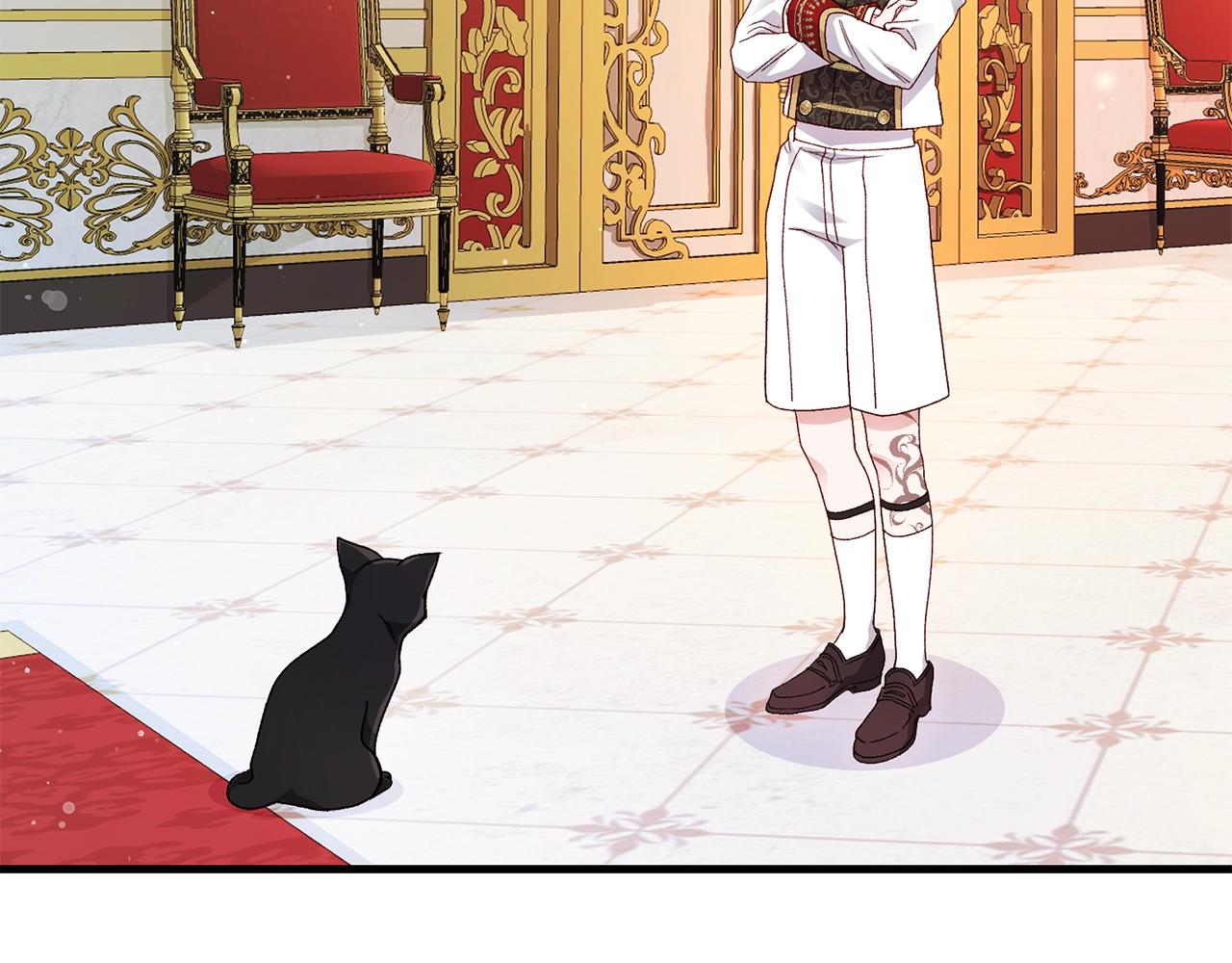 第一季完结篇 猫猫惊恐21