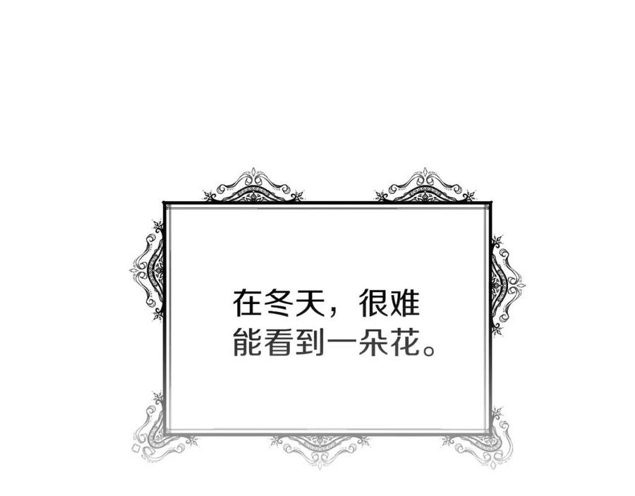 第22话 玫瑰花语18