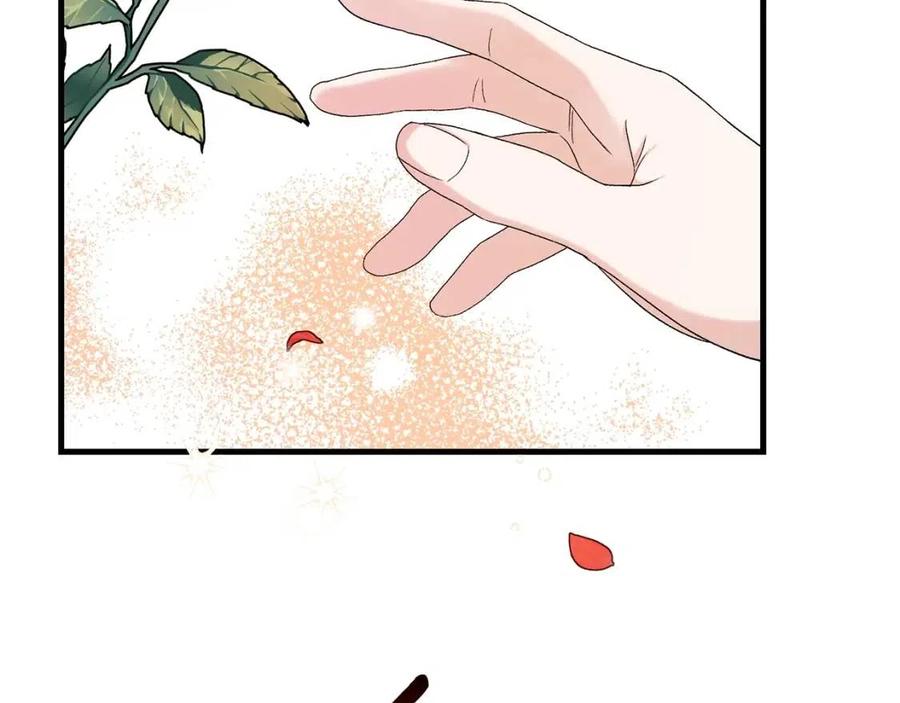 第33话 玫瑰125