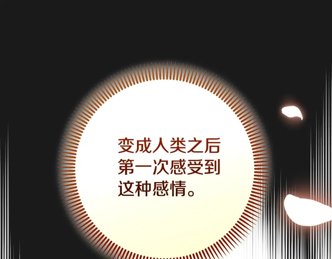 第12话 安诗雅，对不起256