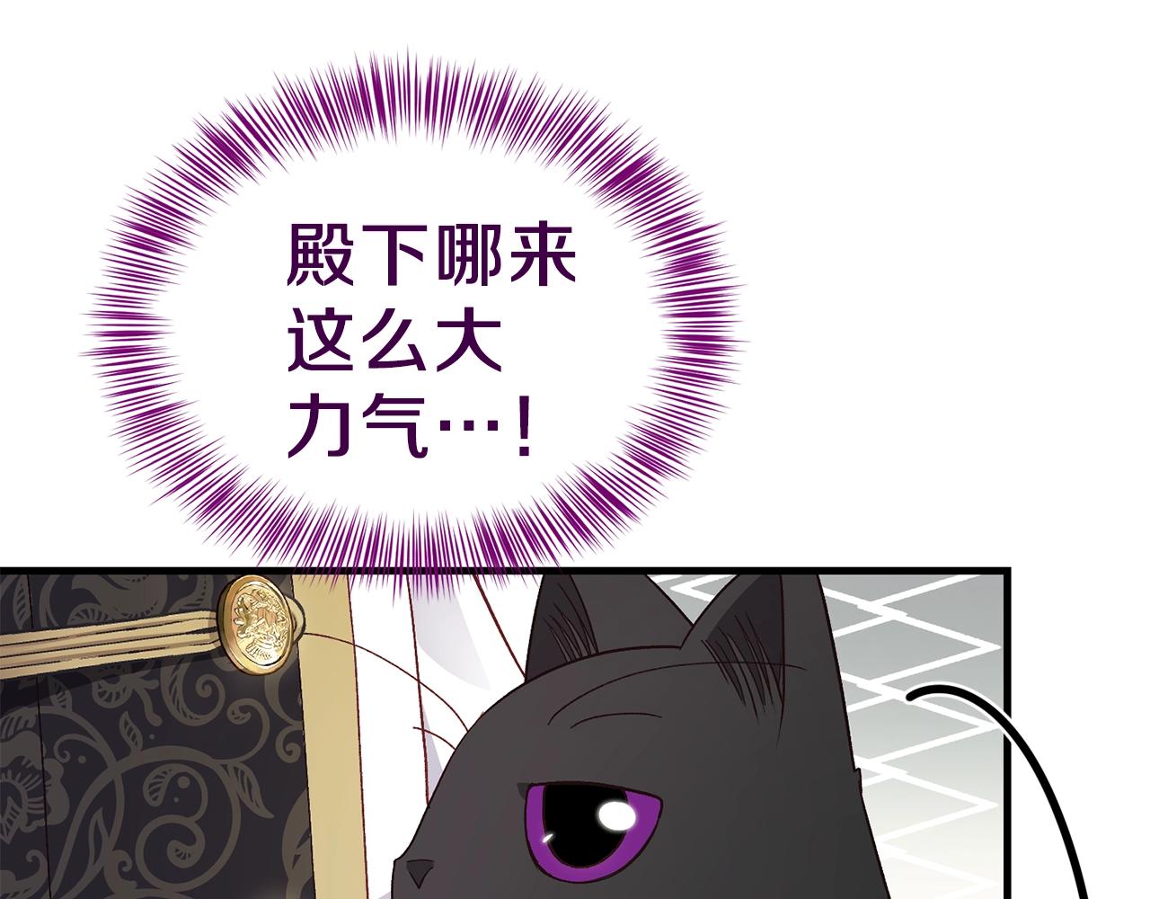 第一季完结篇 猫猫惊恐5