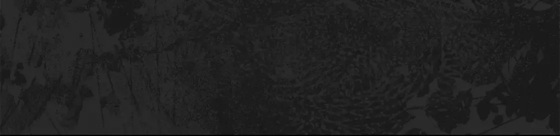 第10话 安诗雅，不要走74