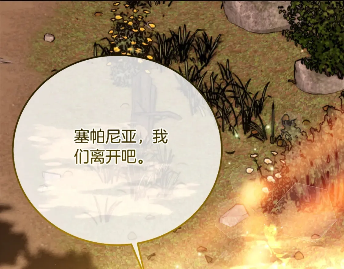 第12话 安诗雅，对不起241