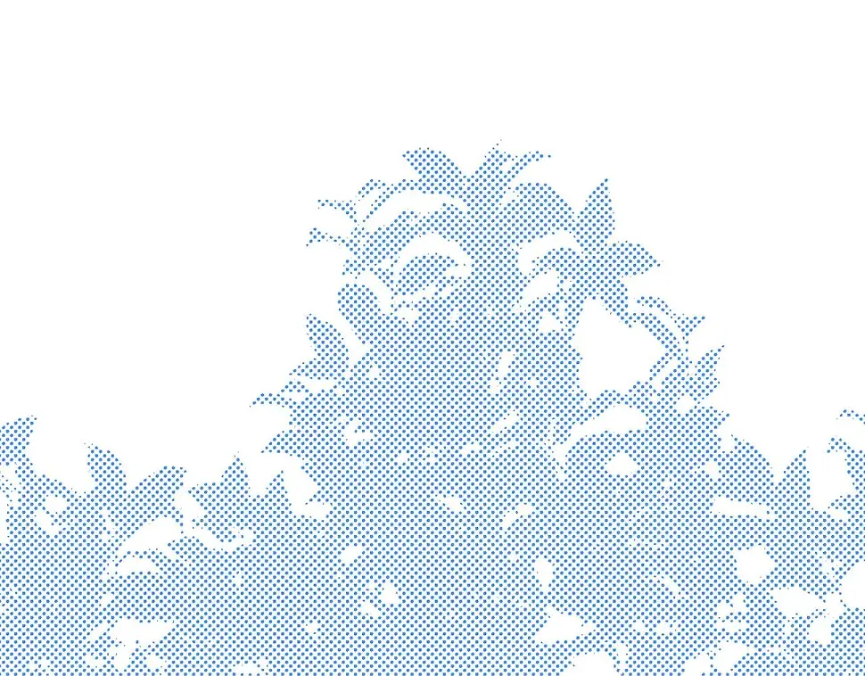 第35话 小玫瑰84