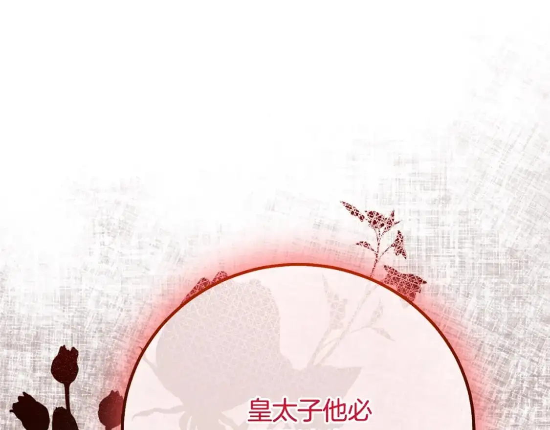 第5话 剥夺太子妃之名？203