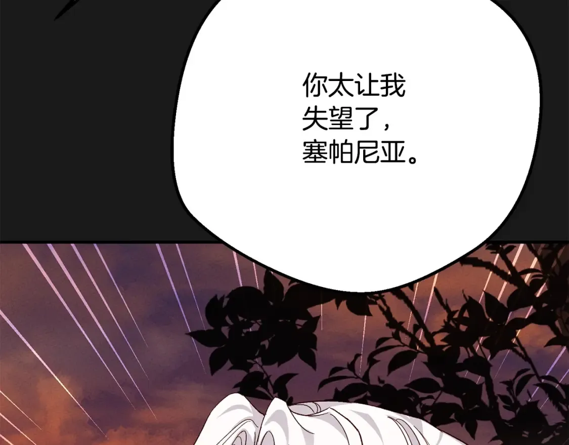 第12话 安诗雅，对不起213