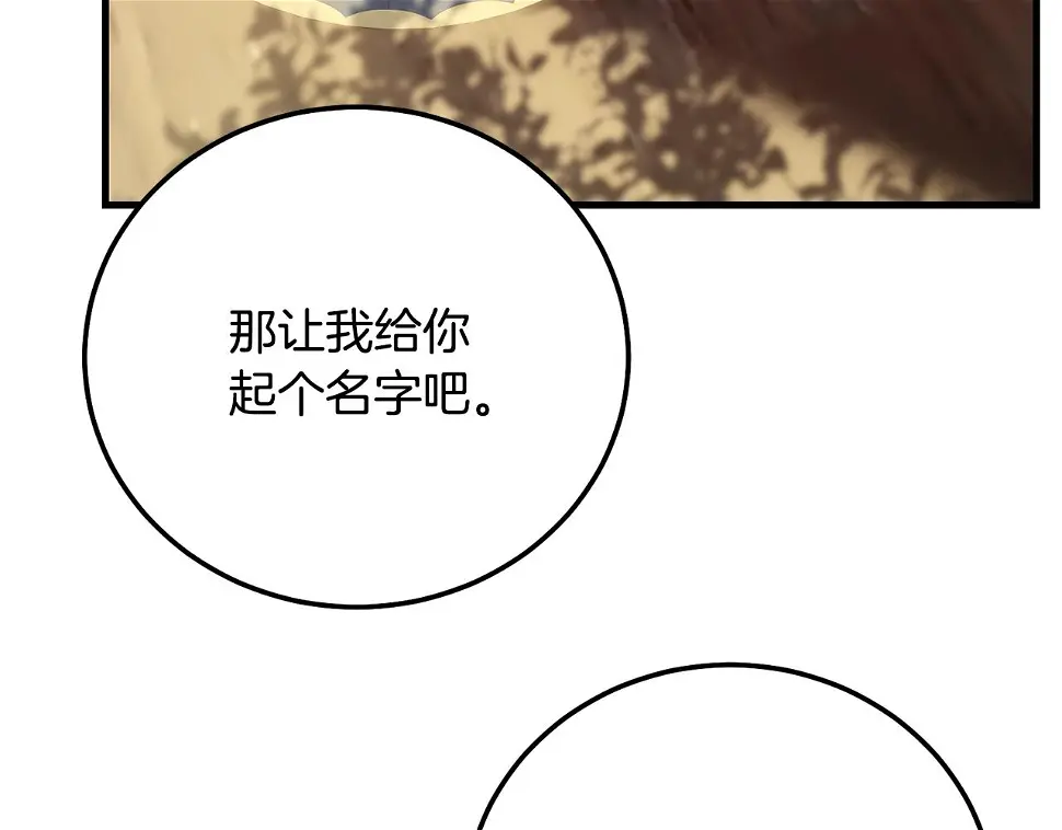 第35话 小玫瑰26