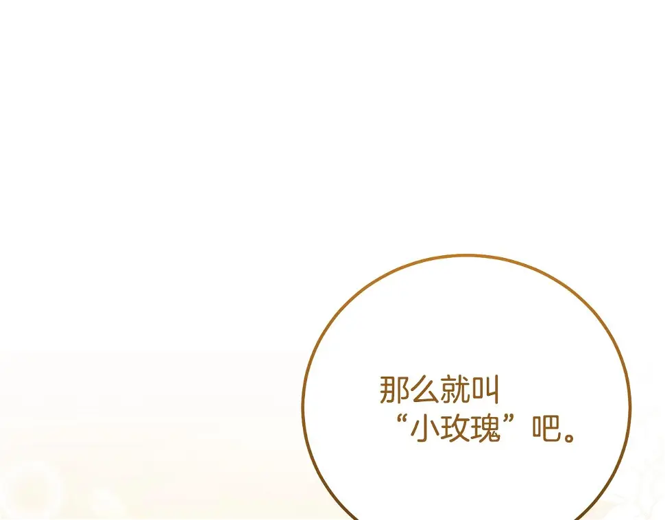 第35话 小玫瑰30
