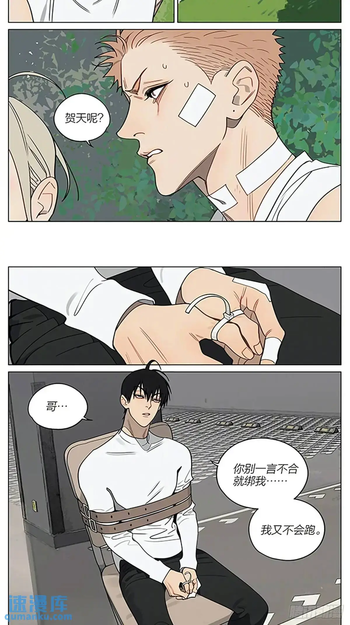 老公5