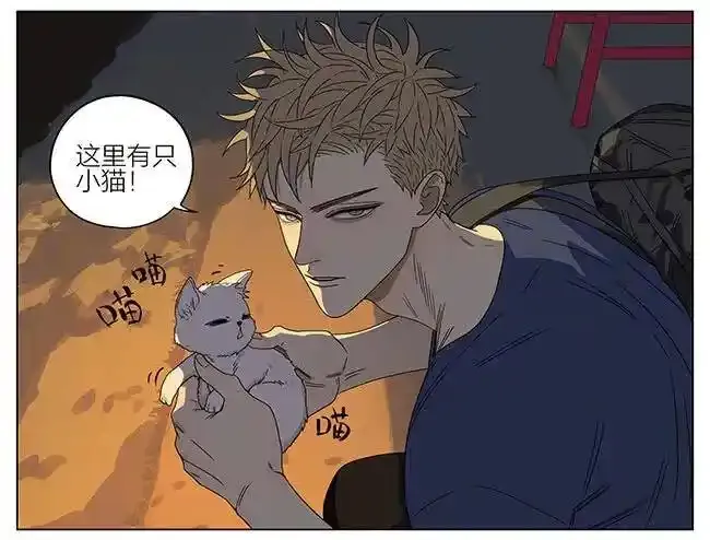 探望 21