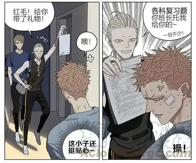 探望 26