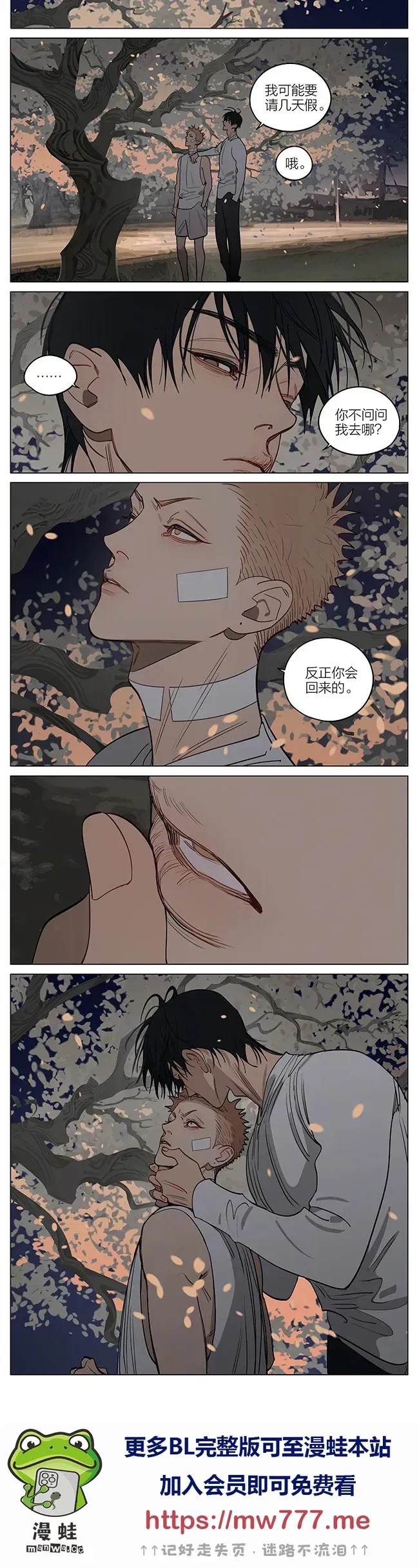 晚风。3