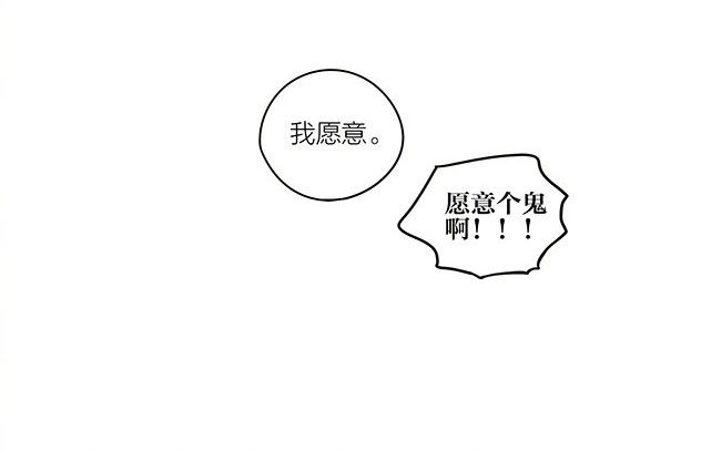 圣诞节特别篇-后续12