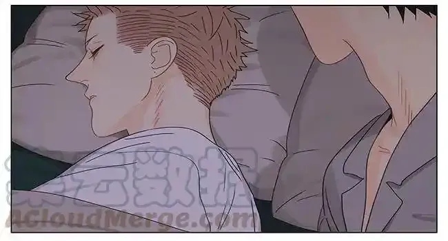 睡觉 212