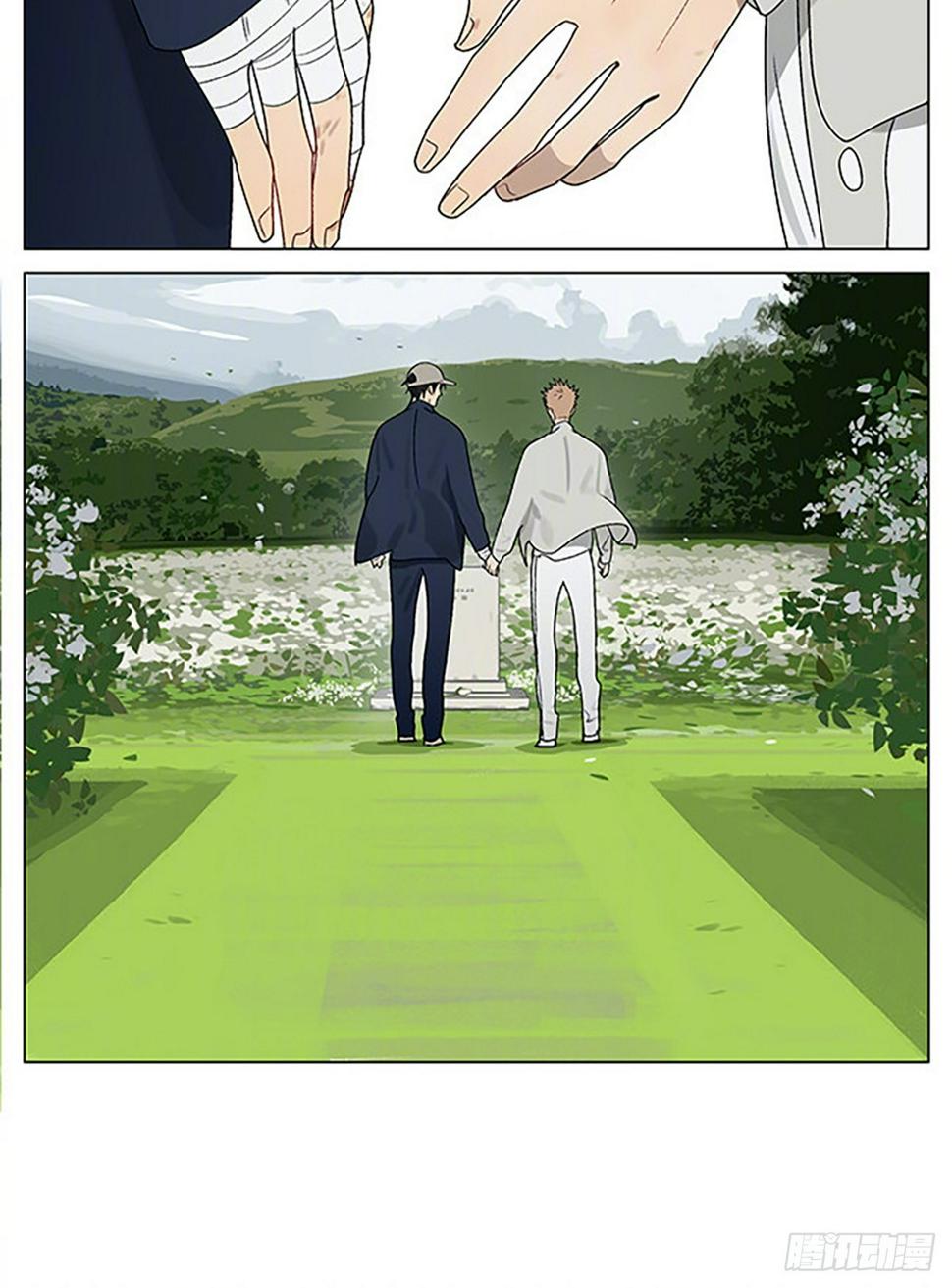 花海4