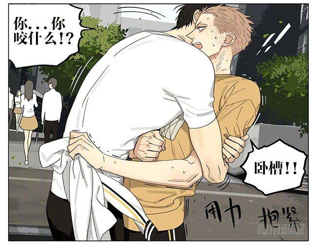 我才不怕5