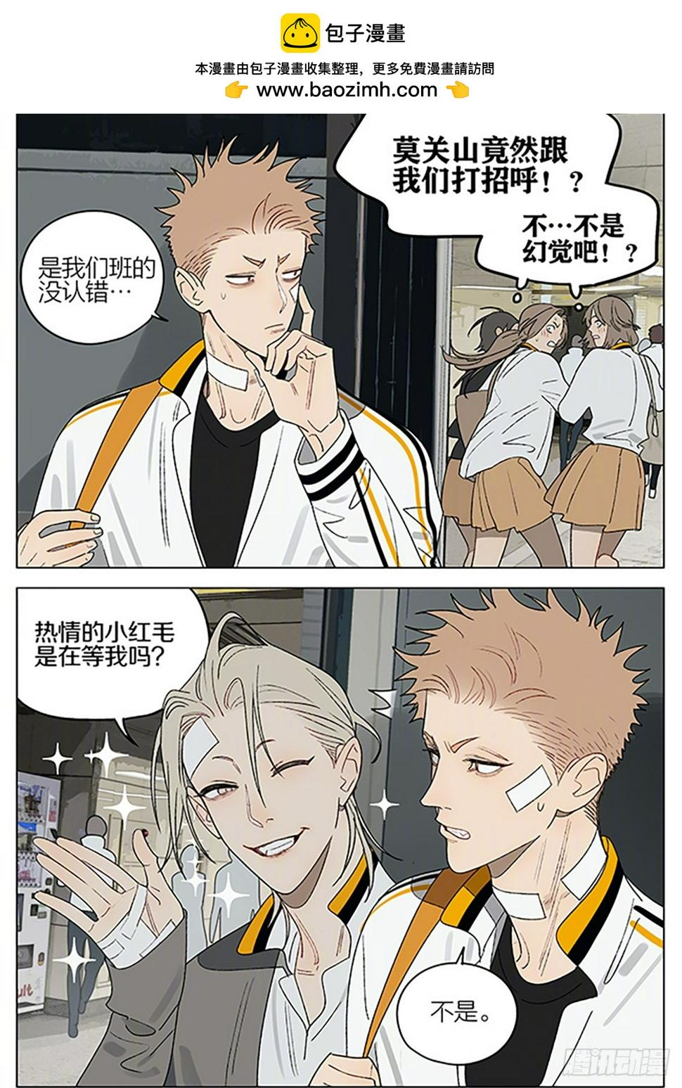 茶叶1