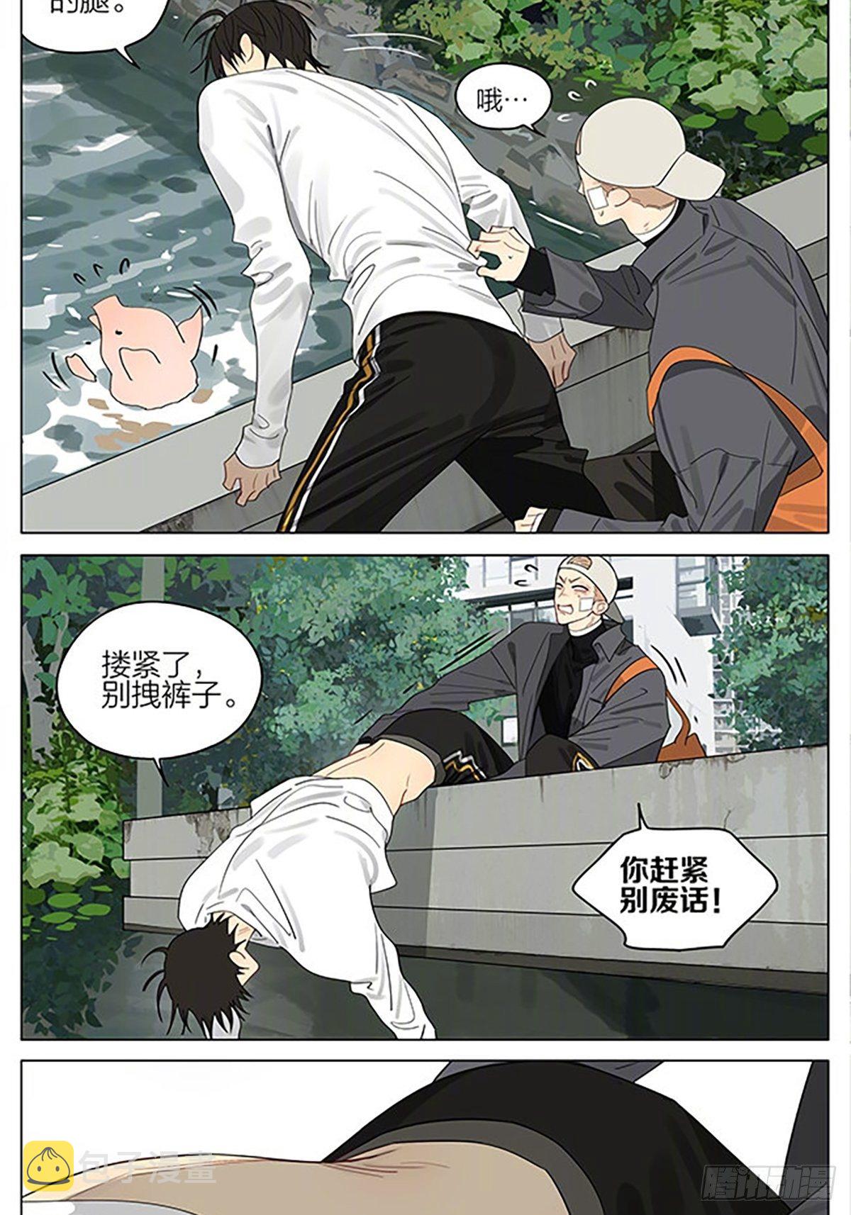 小猪7