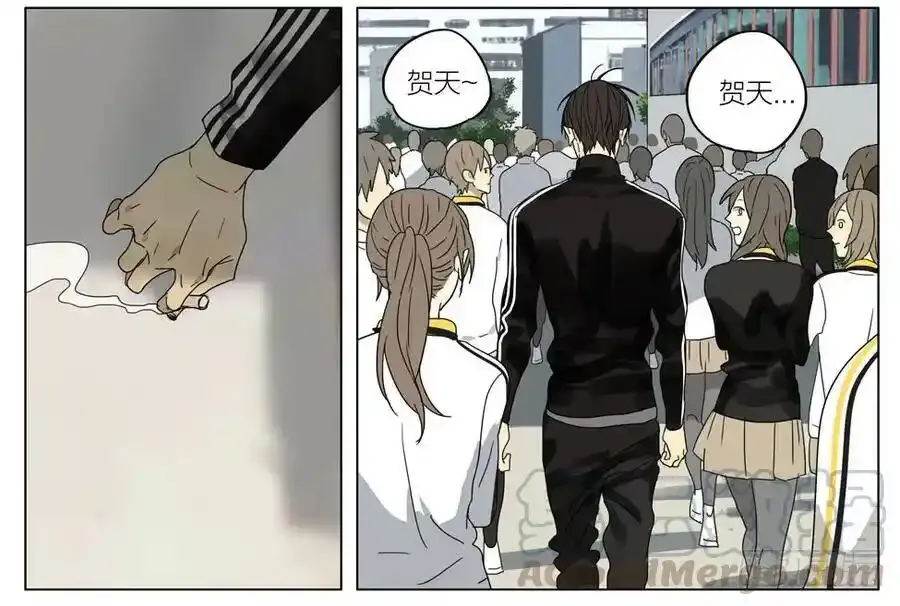 变强 212