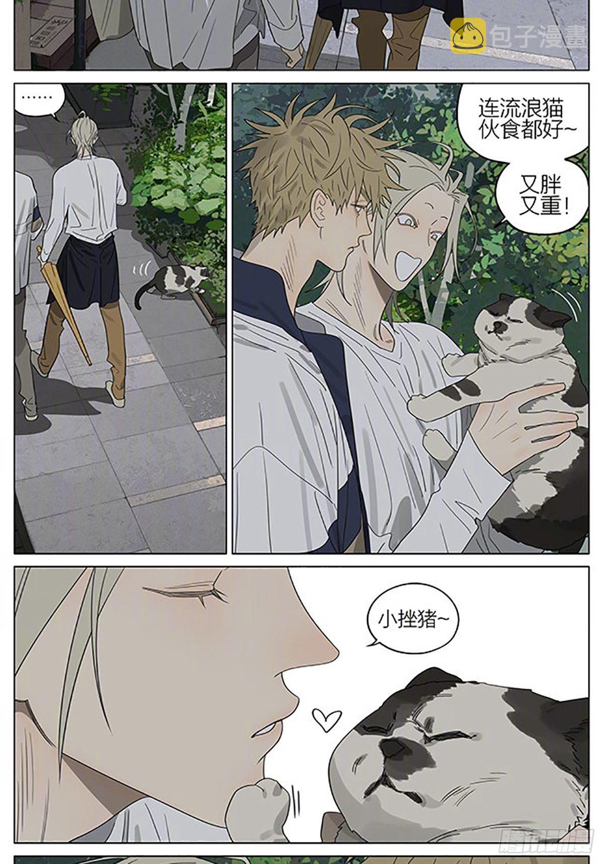 流浪猫2