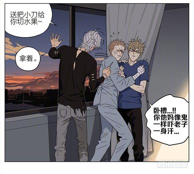 探望13
