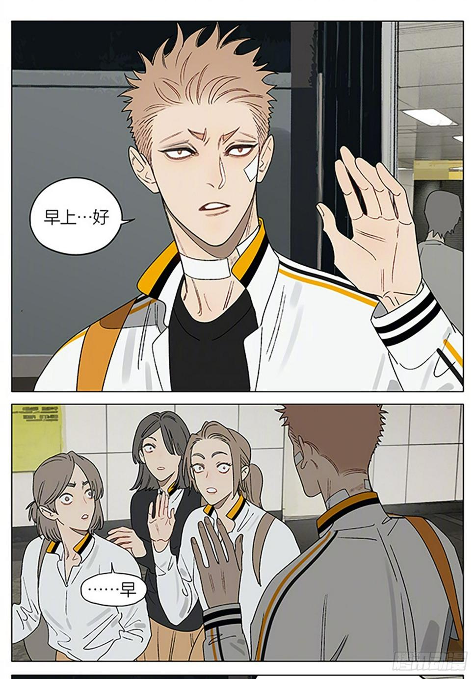 茶叶0