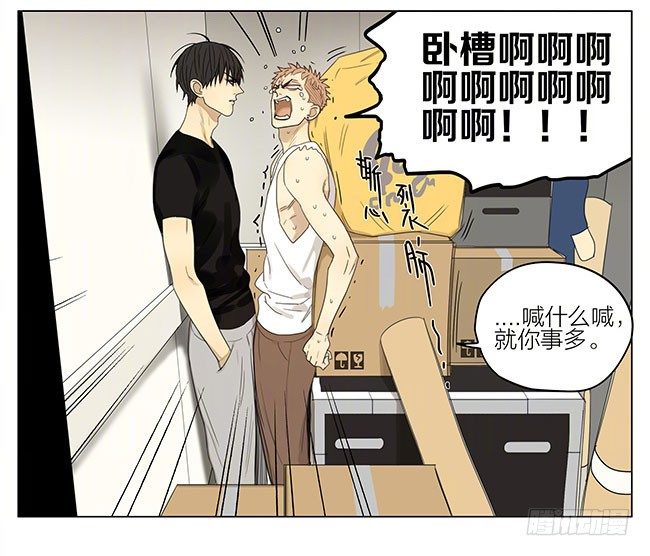 电梯8