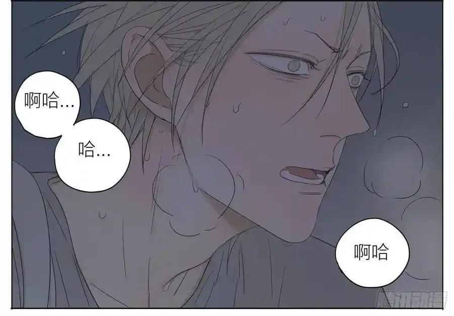 来了 21
