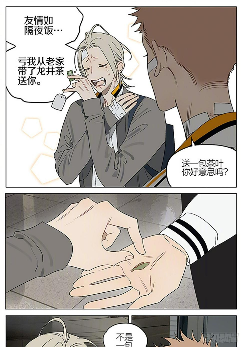 茶叶2