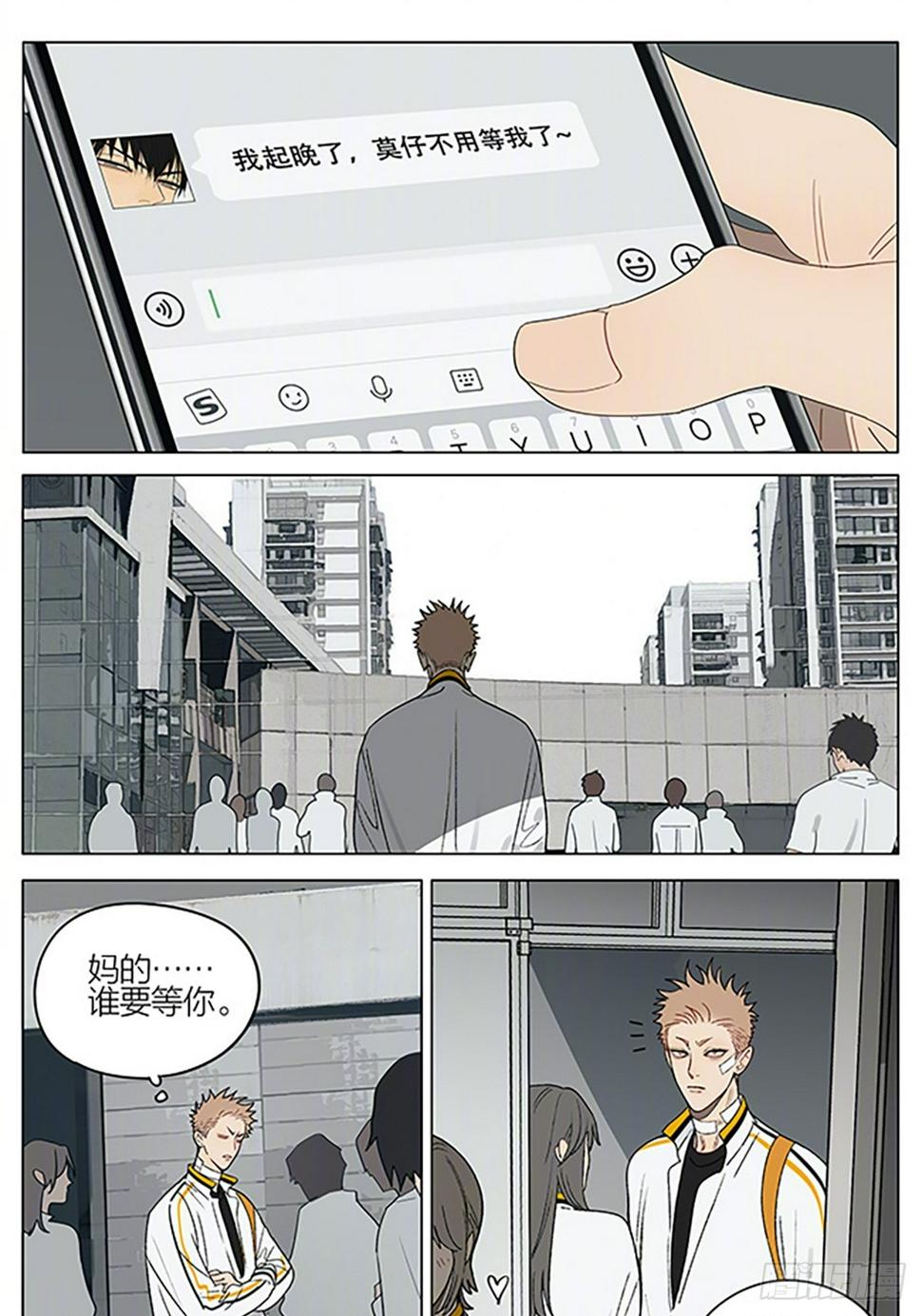 茶叶4
