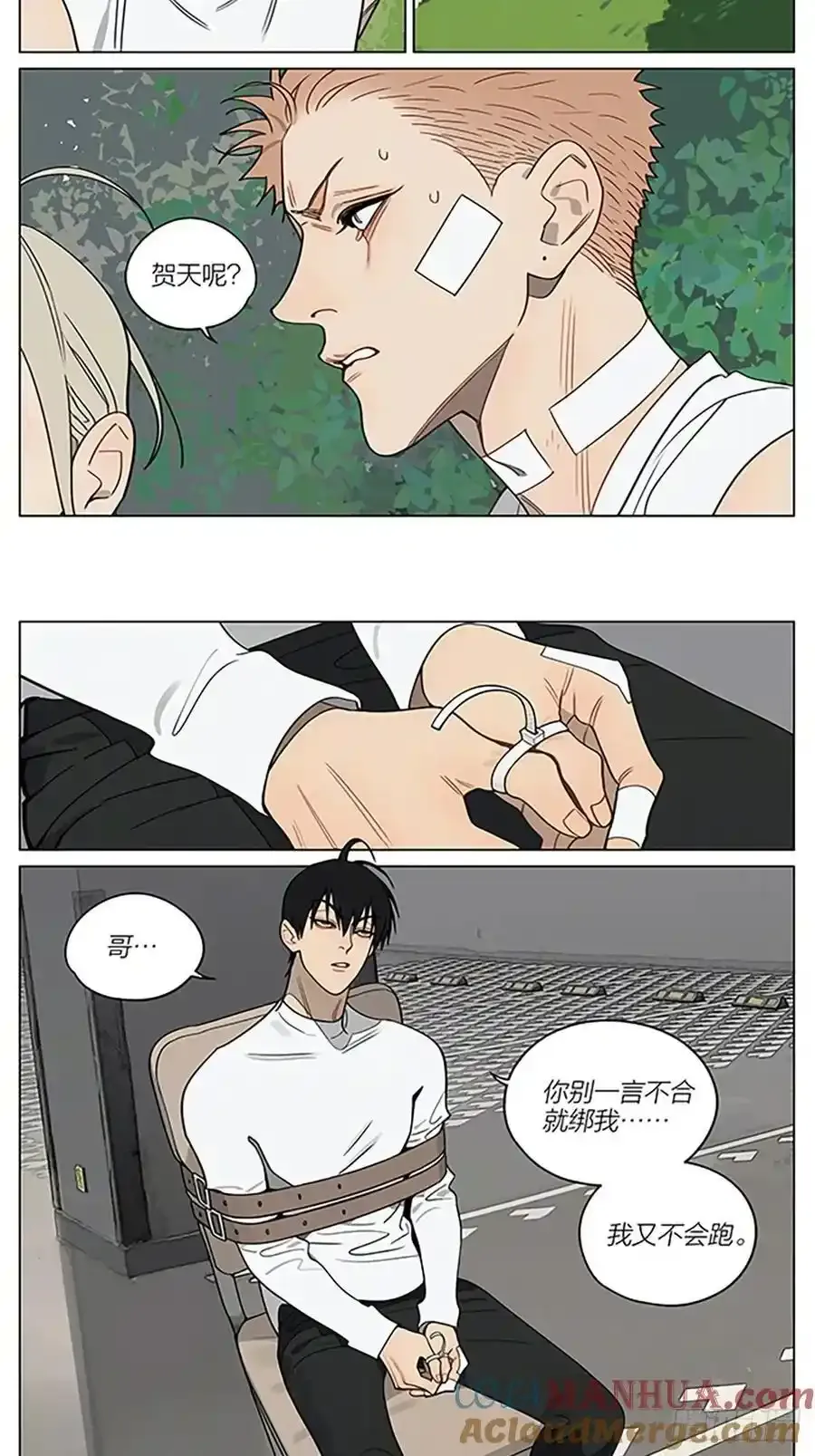 逃跑5