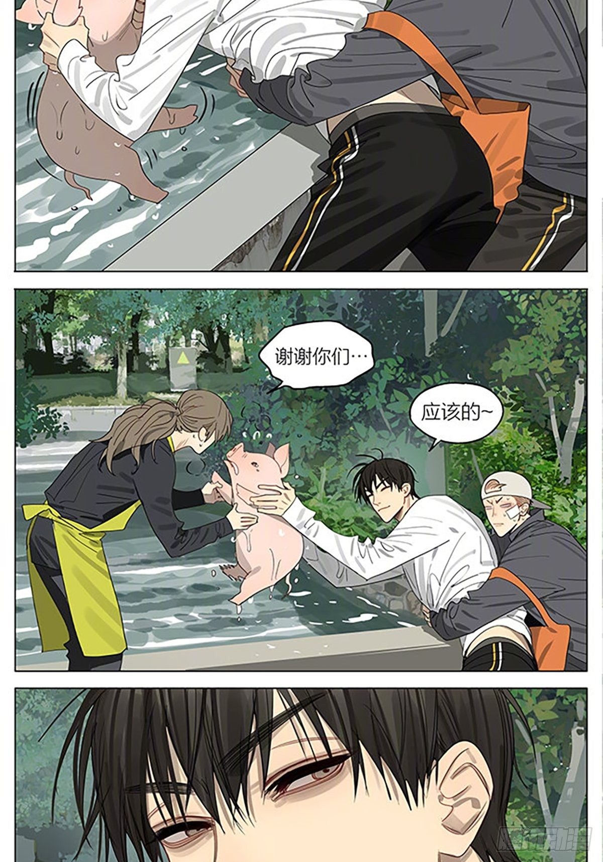 小猪10