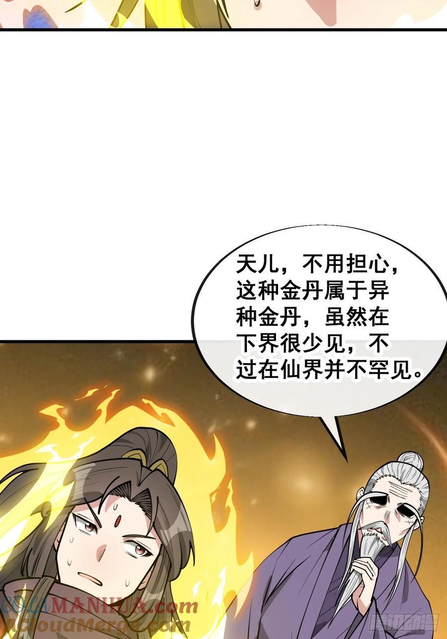 第二百三十二话：好大的金丹33